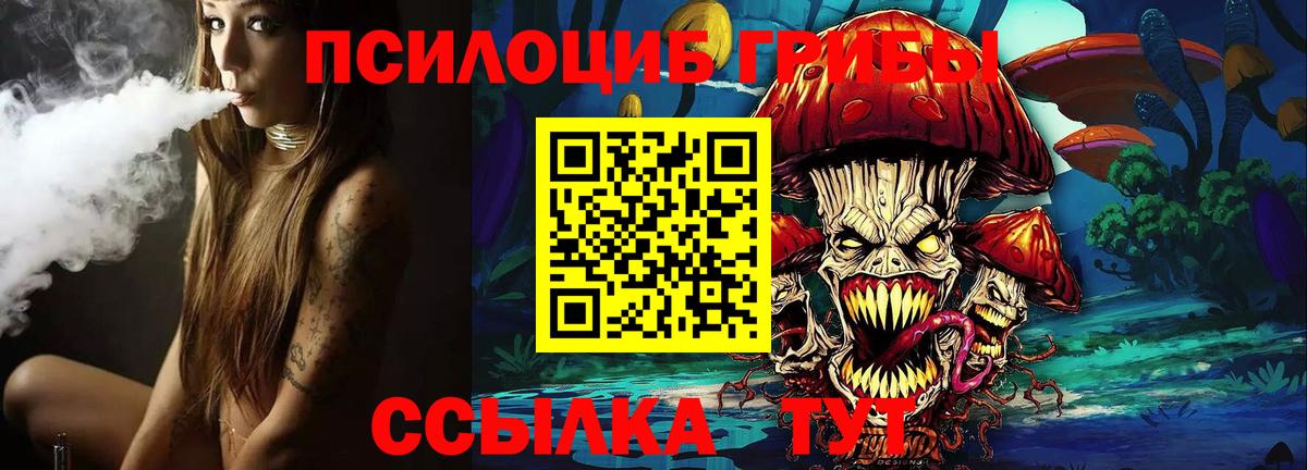 купить закладку  Вход с VPN  Гусь-Хрустальный  Галлюциногенные грибы GOLDEN TEACHER 