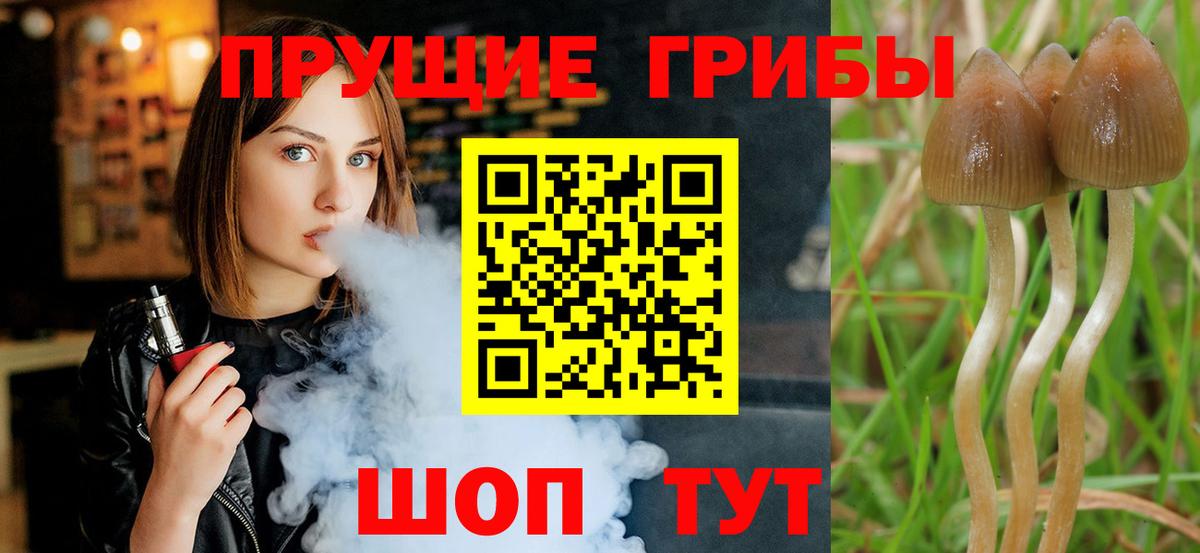 Галлюциногенные грибы GOLDEN TEACHER Гусь-Хрустальный